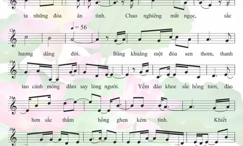 Những đặc điểm ca khúc “Tình Sen” của NSƯT Hương Giang và Nhà báo Vương Xuân Nguyên