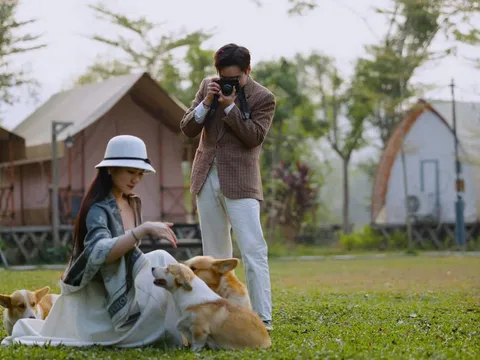 Bốn mùa tôi yêu em: Bản giao hưởng của lòng thủy chung và tư duy nghệ thuật mới